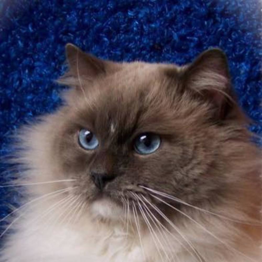 Meet your Posher, Kat